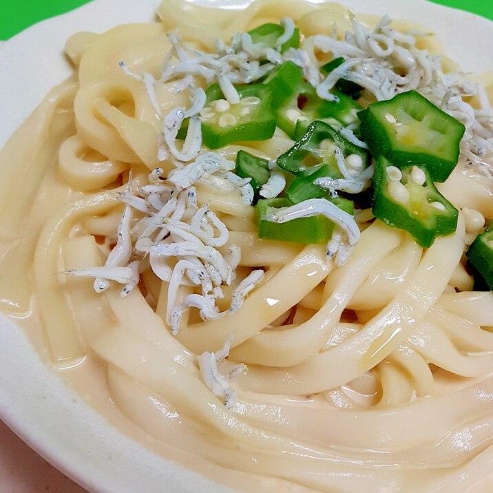 簡単！(^^)しらすとオクラのヘルシーうどん♪